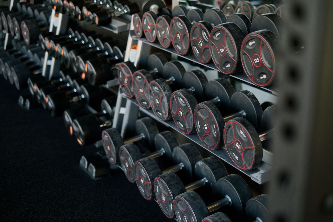 Rows of dumbbells on a gym rack